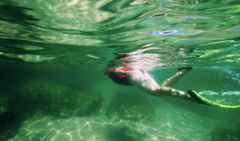 Snorkelling in Sydney Harbour National Park. Photo: David Finnegan. 