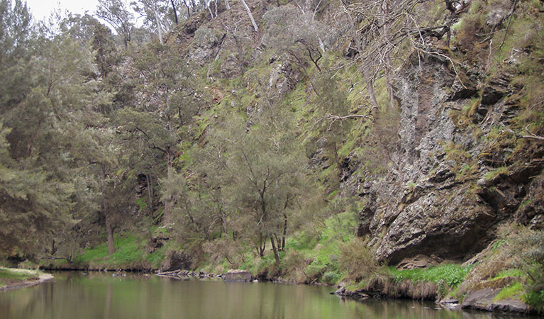 The beach, Abercrombie River National Park. Photo: J Bros